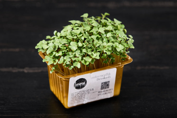 Brokoli Mikro Filiz