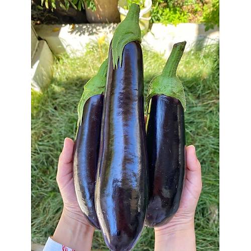 Taze Sivri Patlıcan 1 Kg