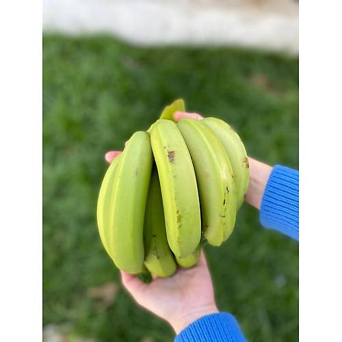 Doğal Alanya Yeşil Muz (Kg)