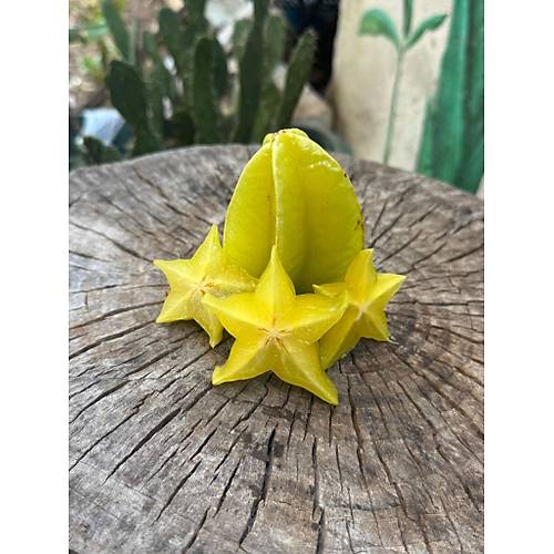 Yıldız Meyvesi Adet