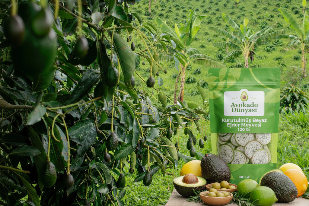 Kurutulmuş Beyaz Ejder Meyvesi 100 Gr