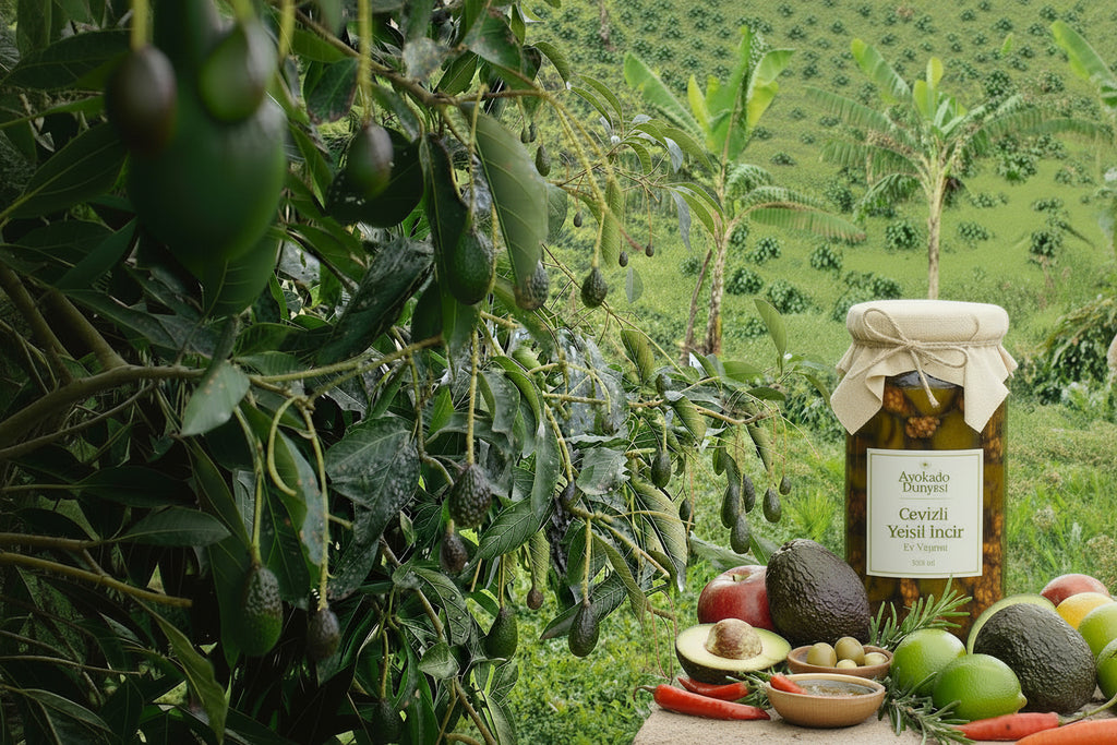 Cevizli Yeşil İncir (Ev Yapımı) - 500Gr